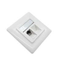 Leermodul Dose 2xRJ45 Schrägauslass