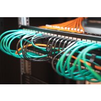 19" Leerpanel für 24 Keystone Jacks, Schwarz