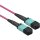 LWL MPO-Kabel, 12 Fasern, OS2, OM4, OM5, 3 mm Mini-Rundkabel, 1m bis 30m