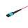 LWL MPO-Kabel, 12 Fasern, OS2, OM4, OM5, 3 mm Mini-Rundkabel, 1m bis 30m
